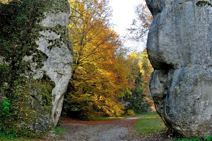 Ojcowski Park Narodowy prezentuje się jesienią wyjątkowo...