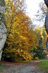 Najpiękniejsze miejsca w Polsce na jesienną wycieczkę. Te zdjęcia Was zainspirują