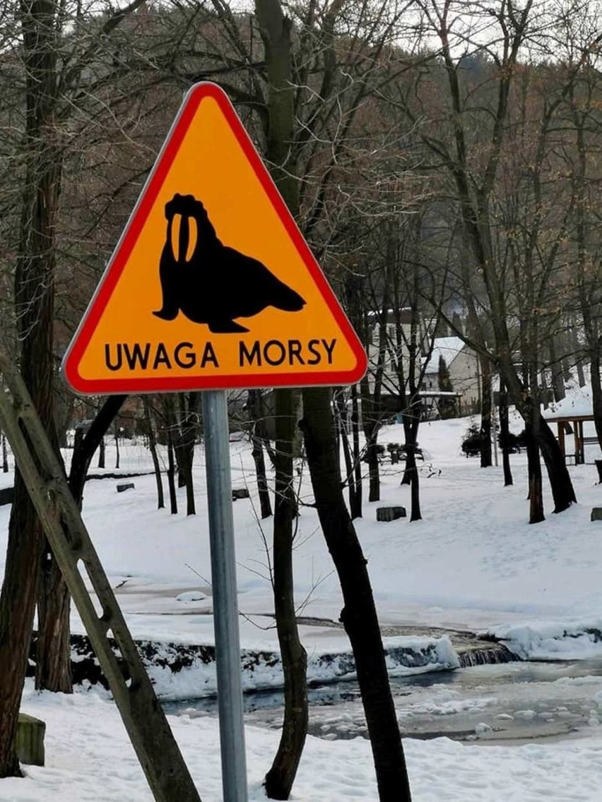Wcześniej podobny znak pojawił się w gminie Porąbka