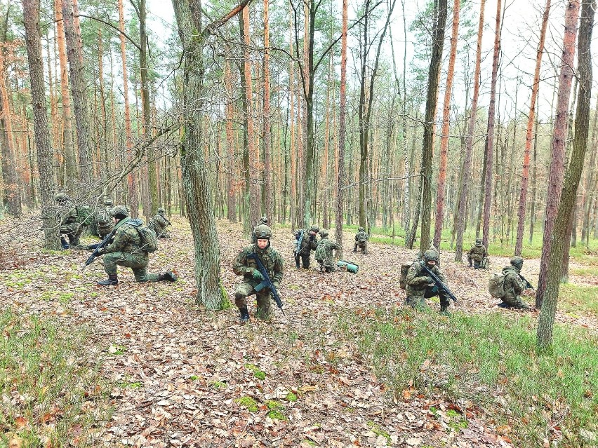 Blisko tysiąc terytorialsów bierze udział na terenie południowego Mazowsza w szkoleniach wojskowych