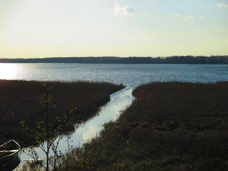 Okolice jeziora Wigry

Trasa: 45 km

Szlak: zielony