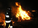 Pożar w schronisku dla zwierząt w Tarnowskich Górach