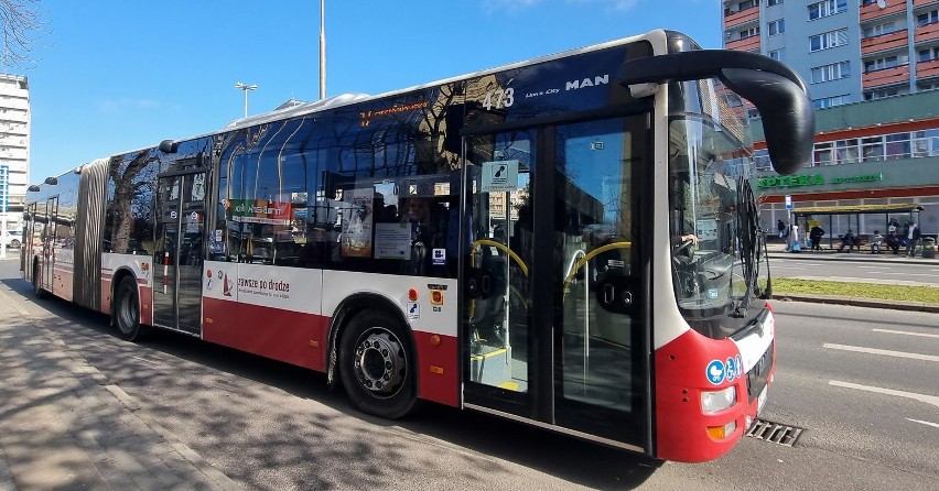 Więcej autobusów miejskich linii 17 pojedzie na działki przy...