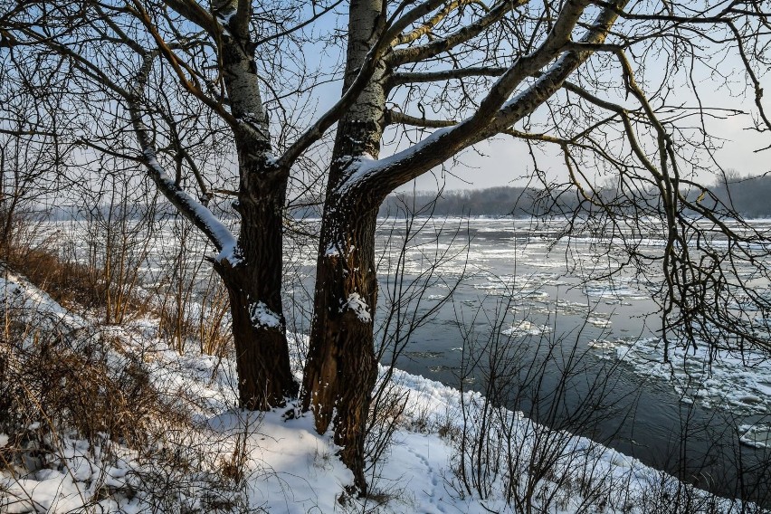 Zima w lutym 2021 w Bydgoszczy