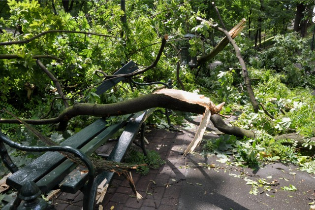 IMGW ostrzega przed silnymi wichurami w Małopolsce. Instytut Meteorologii i Gospodarki Wodnej wydał ostrzeżenie II stopnia przed silnym wiatrem w Małopolsce