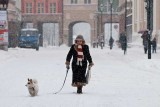 [AKCJA ZIMA] Śniegu jest mało, ale są z nim spore kłopoty. Bo szybko przymarza do dróg 