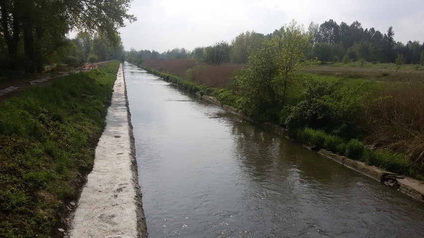 Nad Brynicą we wtorek, 16 maja, trwały poszukiwania...