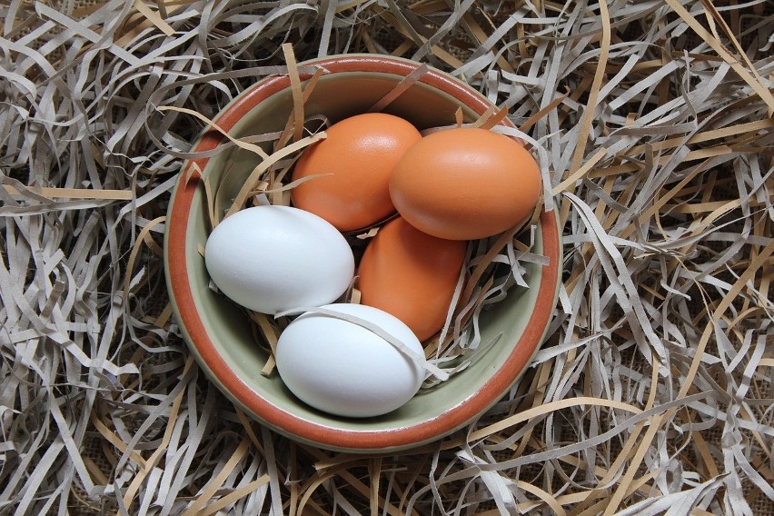 Jak powstaje jajko? Co decyduje o jego jakości? Warto wiedzieć nie tylko na Wielkanoc