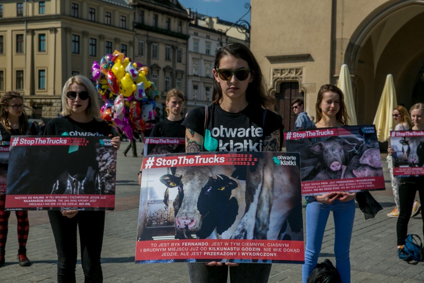 Kraków. Protest przeciwko długodystansowemu transportowi zwierząt [ZDJĘCIA]