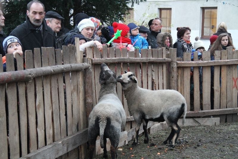 Żywa szopka w Chęcinach