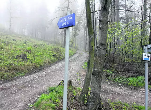 Kolejny ze stromych podjazdów mamy za sobą. Na ul. Panoramicznej natrafiamy na  tabliczkę informującą, że w pobliżu jest leśny kościółek z XVII wieku.