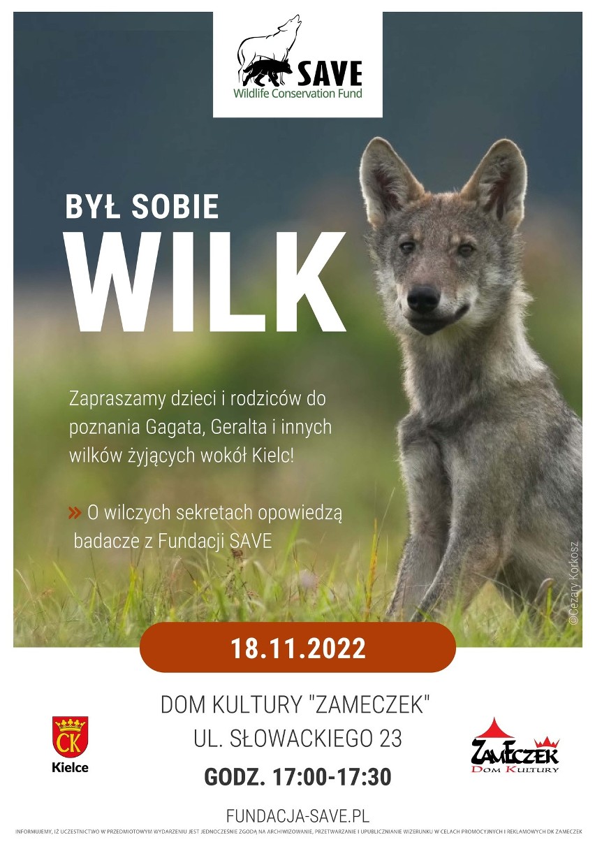 Sekrety wilków w Domu Kultury Zameczek w Kielcach. Ciekawe spotkanie z badaczami z fundacji SAV