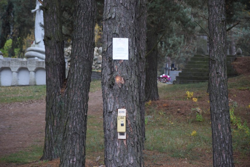 Wszystkich Świętych 2020. Cmentarz w Wasilkowie świeci pustkami (zdjęcia)