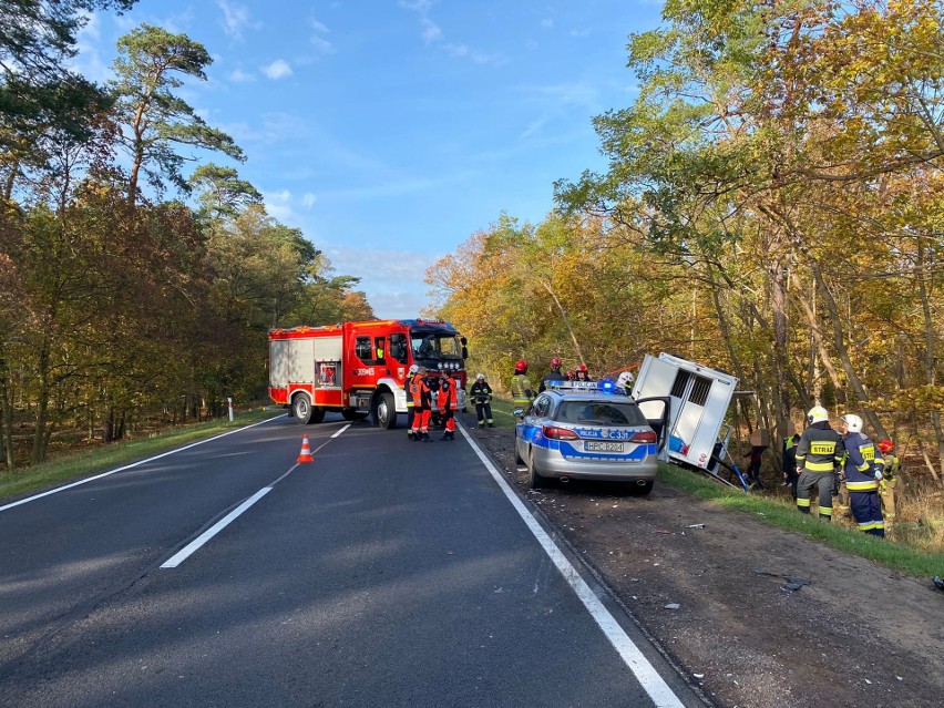 W czwartek po południu na DK 10 pod Wielką Nieszawką...