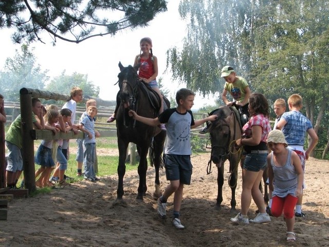 Dzieciaki uwielbiają konne przejażdżki. Niektóre z nich siedziały na końskim grzbiecie kilka razy.