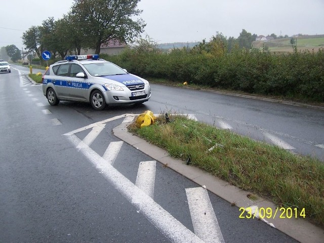 Kobieta przyznała się do spowodowania kolizji. O dalszym losie 27-latki zdecyduje sąd.