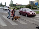 Koszalin: remont koło pomnika Hasiora. Jeździmy jak po rondzie [wideo]