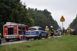 Wypadek w Lucimiu koło Koronowa. Samochód potrącił jelenia