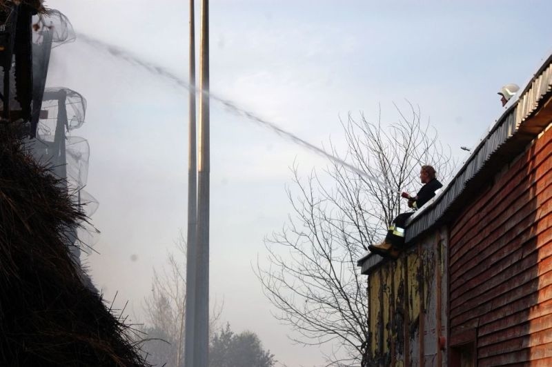 Pożar w Białowieży - zdjęcia Czytelnika