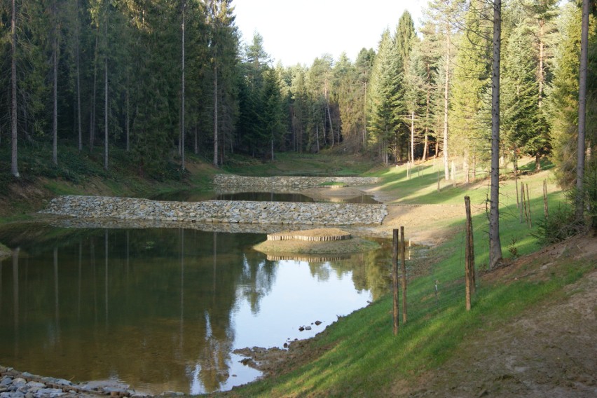 Zbiorniki kaskadowe spowalniają spływ na stromych stokach