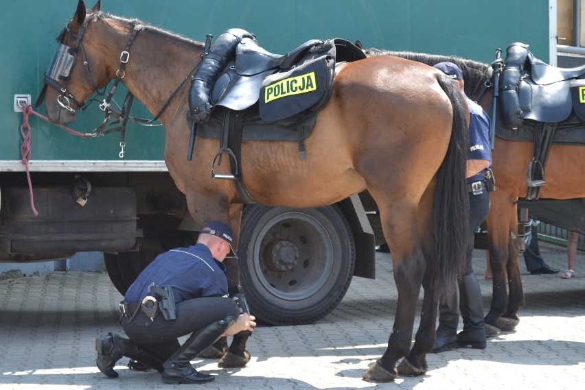 Święto Policji Będzin 2014