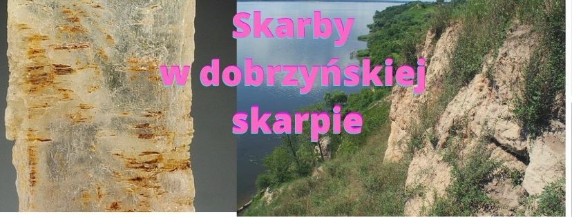 Klejnoty z wiślanej skarpy w Dobrzyniu nad Wisłą. Kolekcjonuje je wielu pasjonatów