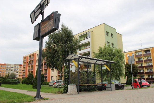Zielony przystanek przy ul. Piastowskiej w Kędzierzynie-Koźlu.