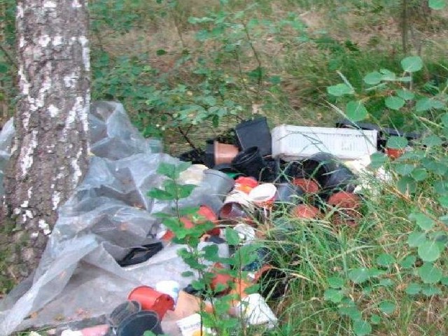 Na takie oto "śmieciowe hity" natrafić możemy w łabiszyńskich lasach