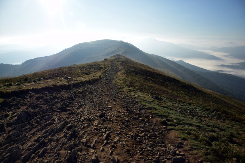 Piękne Bieszczady w obiektywie. Tarnica, Halicz, Bukowe...