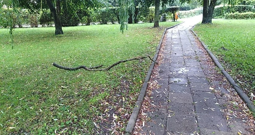 Silny wiatr i opady deszczu w Słupsku oraz regionie [zdjęcia]