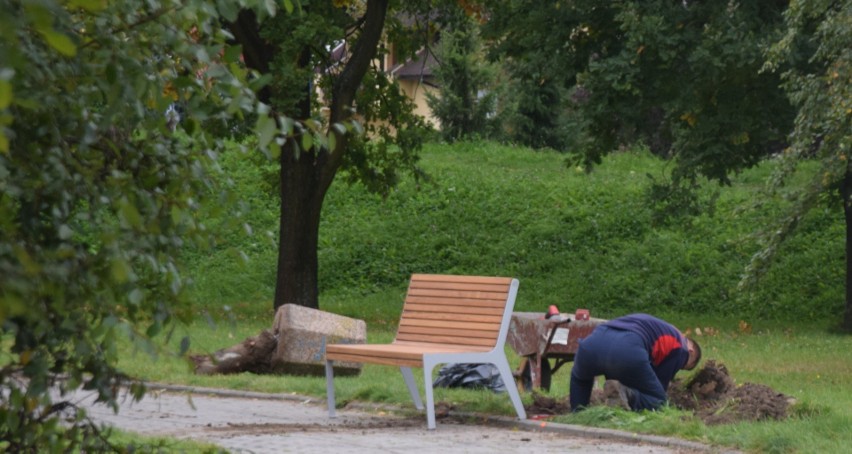 Wymiana ławek i koszy w parku Suble w Tychach