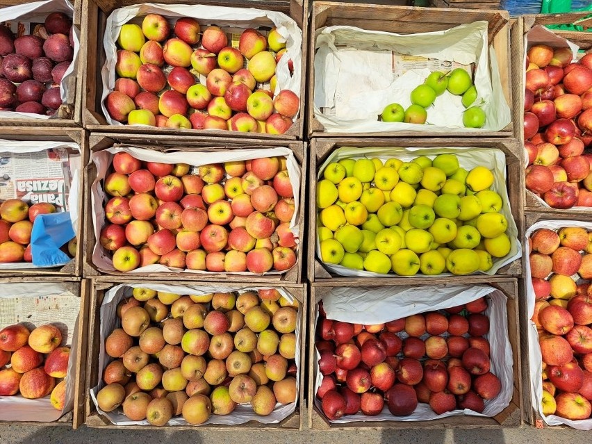 Duży wybór owoców i warzyw na giełdzie w Sandomierzu