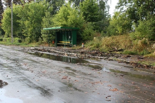 Po burzy na osiedlu Częstocice w Ostrowcu 