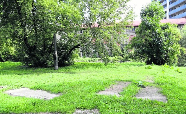 A tutaj już ten sam fragment miasta. Tyle że wykoszony przez miejskie służby.