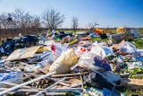 Jak wygląda drugie życie odpadów w gospodarce cyrkulacyjnej? Tak można wykorzystać papier, szkło, a nawet odpady biodegradowalne