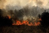 Pożary w Grecji. Polscy strażacy wrócą w poniedziałek do kraju