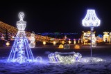 Ogrody Malowane Światłem w Gliwicach na Kąpielisku Leśnym skąpane w śniegu! Zobaczcie, jak tam przepięknie! Mamy nocne zdjęcia