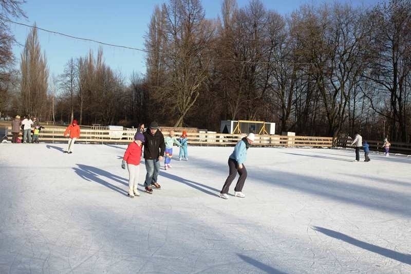 Ślizgawka w Katowicach znajduje się naprzeciw parku...