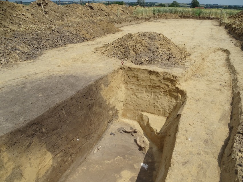 Znaleziska archeologiczne na budowie trasy S7 do granic...