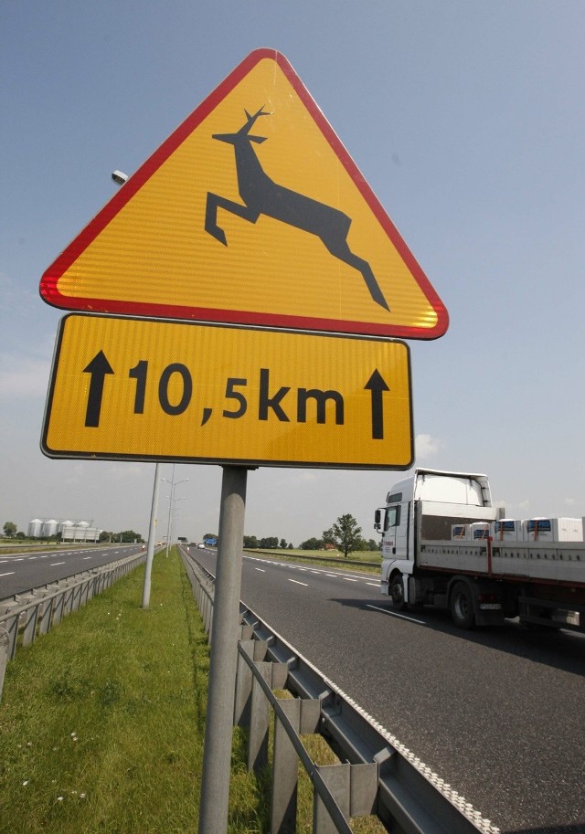 01.07.2010 wroclaw autostrada a4 odcinek wroclaw opole . odcinek bez siatek odgradzajacych dla zwierzat . znak uwaga przebiegajace dzikie zwierzeta gazeta wroclawska tomasz holod / polskapresse