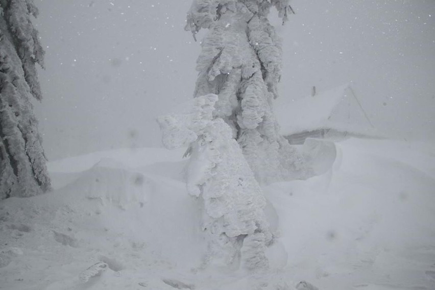 Zima w Beskidach. Schronisko na Rysiance tonie w śniegu