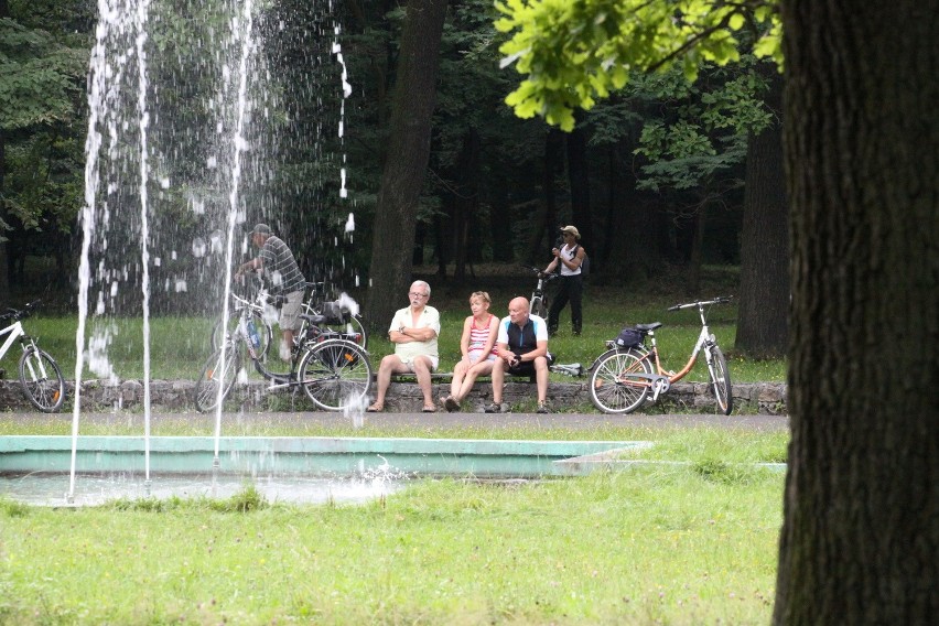 Tak dziś wygląda park Zielona w Dąbrowie Górniczej