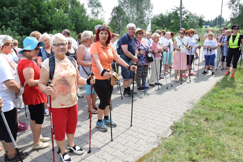 Marsz nordic walking w Zawierciu