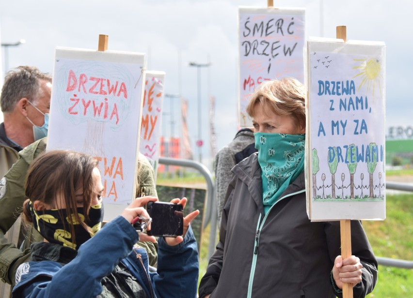 "Nie oddamy Bieszczad piłom!". Akcja w całej Polsce, w Krośnie złożono petycję [ZDJĘCIA]