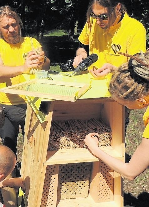 Cztery hotele dla pszczół samotnic i dzikich owadów zapylających otwarto chociażby w Toruniu