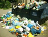 Sposób na bałagan ze śmieciami? Kodeks dobrych praktyk śmieciowych 