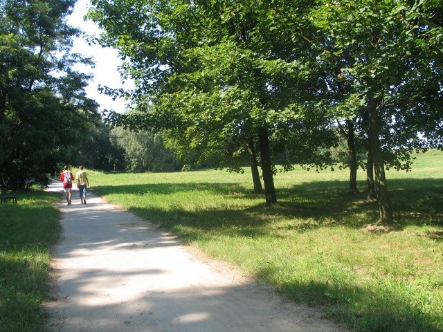 Radni Tarnobrzega na potrzeby lądowiska przeznaczyli teren należący do gminy, leżący w sąsiedztwie Ośrodka Sportu i Rekreacji.
