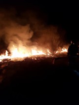 W powiecie krakowskim dochodzi dziennie do kilkunastu pożarów traw