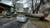 Wichury na Dolnym Śląsku. Orkan Nadia wdarł się od północy. Jak wygląda sytuacja we Wrocławiu?