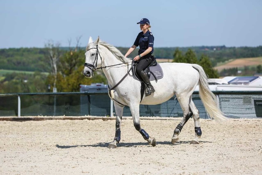 Policjantka z pasją – konie to jej cały świat…